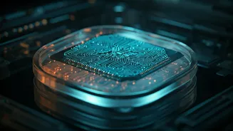 Innovative Brain Technologies: Future is Here?