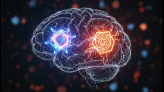 How brain sensors interpret processed diet snacks as high energy sources erroneously