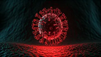 Ebola's Shadow: WHO Warns Against Underestimating Africa Outbreak Risks