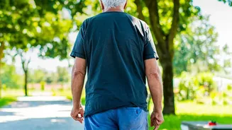 Short walks following meals improve insulin sensitivity and eliminate post lunch sluggishness for workers