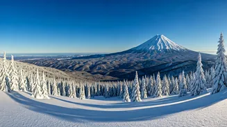 Niseko United: Your Ultimate Backcountry Skiing Paradise