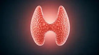 Related Stories banner