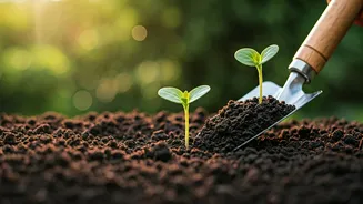 Rain-Softened Soil Makes Planting Less Scary