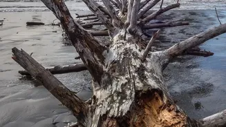 The Second-Wave Risk In Nepal: How Floodwater Can Build Behind Debris