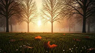 Delhi-NCR's Warm Mornings Continue: Anticipating a Cooler Turn Ahead