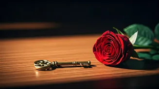 Beyond Butterflies: 10 Crucial Questions for Lasting Relationships