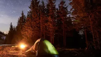 Why Young Travel Enthusiasts Plan Expeditions To Dark-Sky Parks For High-Altitude Stargazing Camping Trips