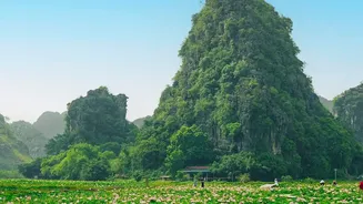 A Kapu Farmer Replaces Costly Paddy With Higher-Value Lotus Flowers