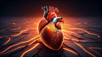 Urban Heat's Silent Siege: How City Temperatures Are Affecting Your Body