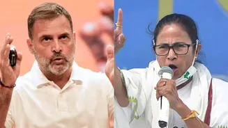 TMC Handing Bengal To BJP: Rahul Gandhi's Big Charge In Malda