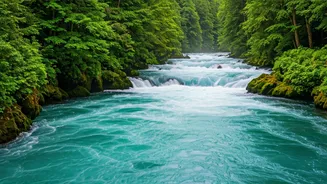 River Rapids Make Rishikesh A Perfect Friend Escape