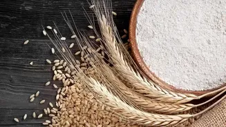 How to Choose Between Whole Grains, Grain Flour and Ready-to-Cook Products
