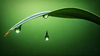 Why Humidity Makes Staying Hydrated More Important