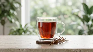 Why Wellness Enthusiasts Are Exploring Rooibos Tea From South Africa
