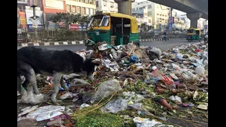 Dust Deadline: Delhi Roads To Be Cleared Of Garbage By October 31 | What Residents Must Note