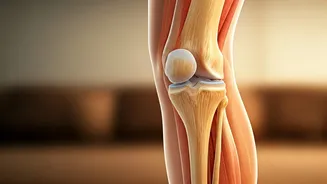 New Global Yoga Theme Focuses On Healthy Joint Mobility