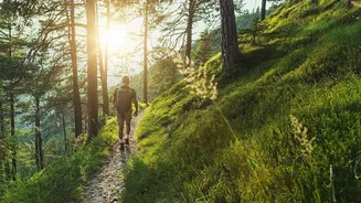 For hikers: Breathtaking nature trails in Austria