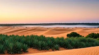 Safe Monsoon Getaways Are The New Travel Search