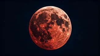 Related Stories banner