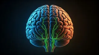 Autism's Timeline: Unpacking Early vs. Late Diagnoses