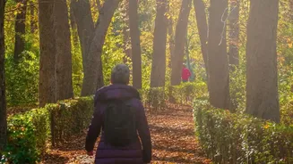 Why Rain-Soaked Parks And Footpaths Need Extra Caution For Pet Walks
