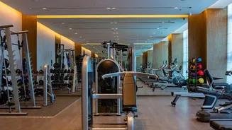 HIIT Vs LISS Cardio: Choosing The Ideal Exercise Routine For Desk Jobs