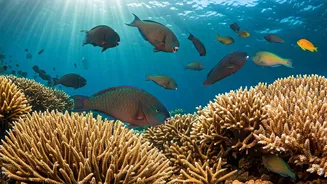 Parrotfish: Coral Reef Guardians in Action