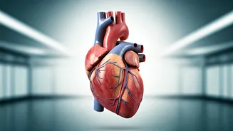 Cardiologist's Secrets: 4 Lifestyle Factors for Heart Health