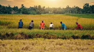 मानसून का अजब खेल: जून सूखा, जुलाई सैलाब... आखिर क्यों?