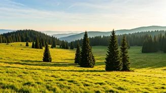 Experience Crowd Free Vagamon Meadows Instead Of Overrated Stations