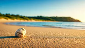 Sydney's Top 12 Beaches: Your Ultimate Guide to Sun, Sand, and Surf