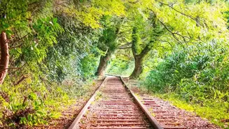 How Scenic Train Routes On Konkan Line Make Long-Weekend Independence Day Trips Unforgettable Today