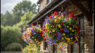 Hanging Baskets Need Careful Placement To Survive Humid Rainy Weather