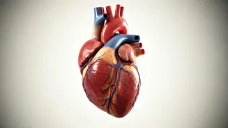 5 Habits for Longevity: Expert Insights for a Longer Life