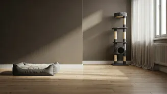 Pet-Friendly Homes Have Entered Lifestyle Content