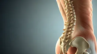 Malaika Arora's 'Duck Walk': A Surprising Solution for Lower Back Pain and Improved Posture