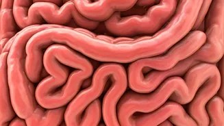 7 Steps to Rejuvenate Your Gut Health After Festivities