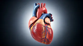 Men's Health: A Guide for Your 30s, 40s, and 50s