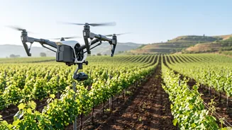 Why Downy Mildew Detection Drones Are Gaining Popularity In Nashik Vineyards