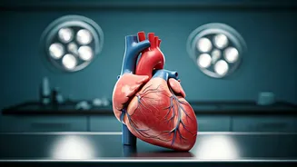 5 Habits for a Healthier Heart: Expert Tips