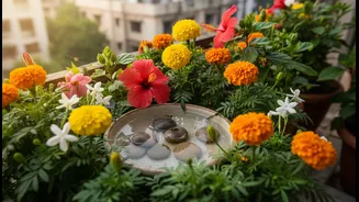 Pollinator Balconies Need Native Flowers, Water And Pesticide-Free Care
