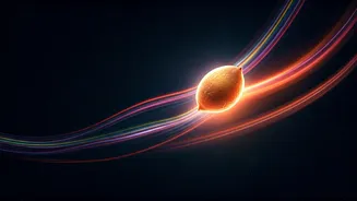 The Power of a Name: Does It Truly Reshape Your Life's Trajectory?