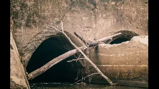 Tunnel Collapse at Uttarakhand Hydropower Project Claims Seven Lives