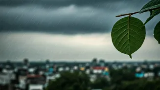 Lucknow's Sudden Chill: Unseasonal Rain and IMD's Weekly Weather Outlook Revealed