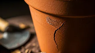 Garden Gear Rescue: Unlocking the Power of Clear Nail Polish for Crack Repair