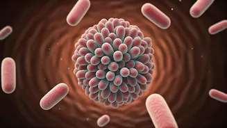 Beat Winter Bloating: 3 Expert-Backed Diet Tweaks for a Happy Gut