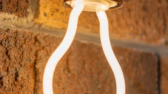 Sustainable Home Decor Enthusiasts Choose LED Copper Lights Over Disposable Plastic Options