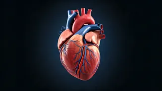 5 Science-Backed Keys to a Longer Life