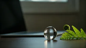 Related Stories banner