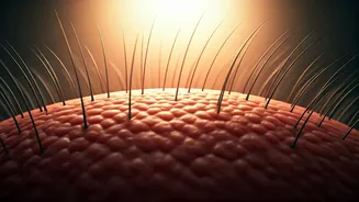 Samantha Ruth Prabhu's Haircare Wisdom: Unveiling the Secret to a Healthy, Happy Scalp!